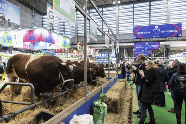 Salon International de l