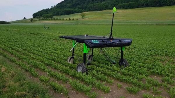 robot de desherbage