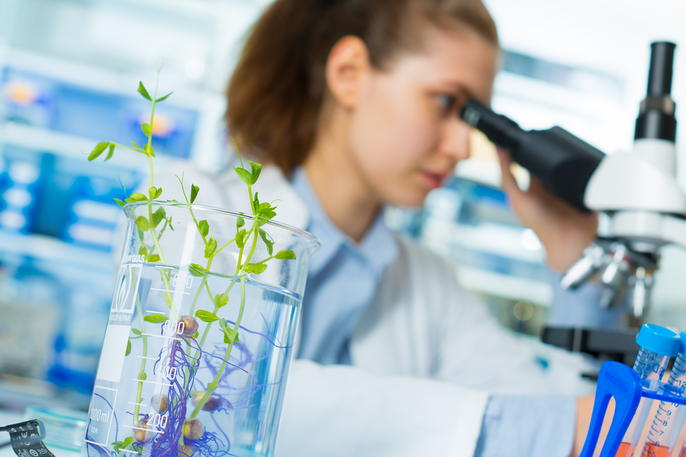 laboratoire