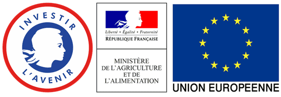 initiative emploi